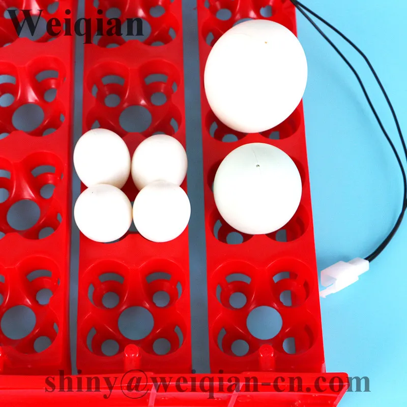 Weiqian Бренд 36 яйца/144 Птица eggsTray Птицы Автоматический Инкубатор Инкубационное