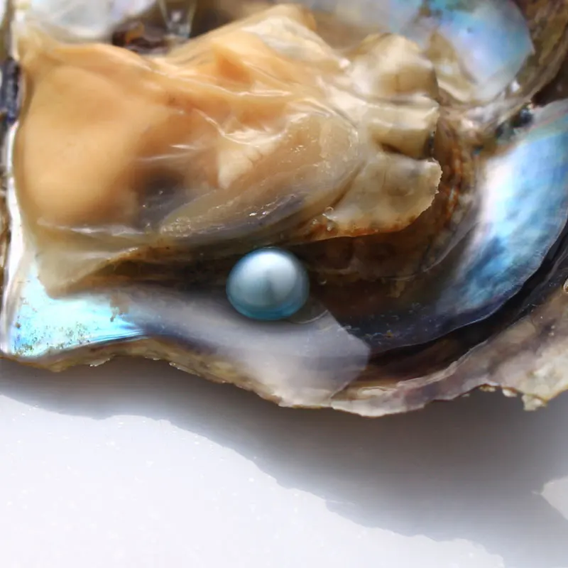 10 шт. низкая цена AAA одна специальная детская синяя Устрица акойя s 6 8 мм круглая