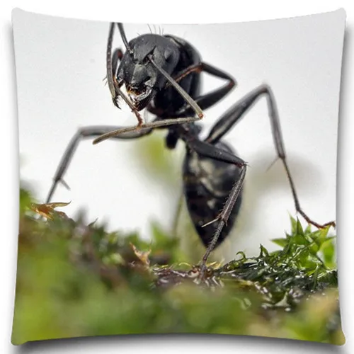 Большая черная декоративная подушка для фотографий 16 18 20 дюймов|throw pillows blue|throw for