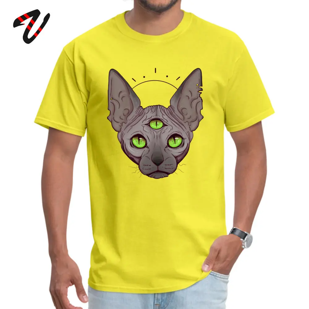 Футболка с рисунком «Три глаза» для мужчин, Cheshire, топы, Sphynx, канадские любительские футболки без волос, большие размеры, Всевидящее Око хлопковая футболка