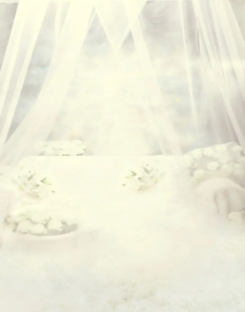 

5x7ft Flowers White Curtain Photography Backdrops Photo Props Studio Background