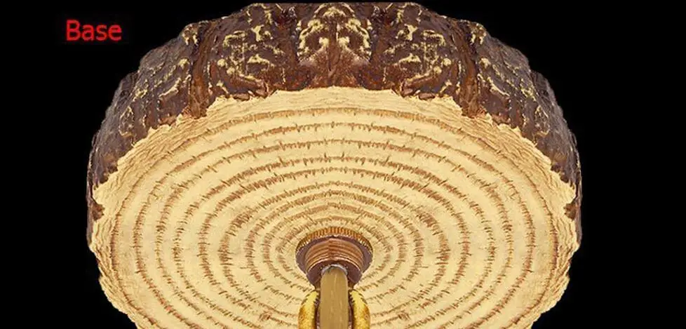 Европа страна 4 головки коричневая столовая рога люстры светильники подвесные