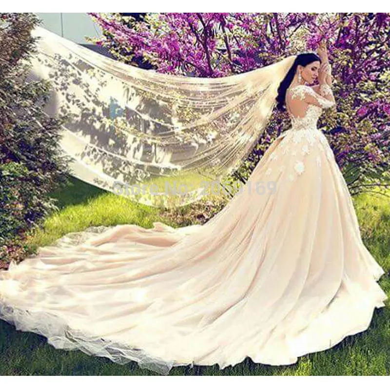 

Sexy Backless Ball GownWedding Dresses 2020 Full Sleeves with Chapel Train Tulle robe de mariage vestido de noiva sereia