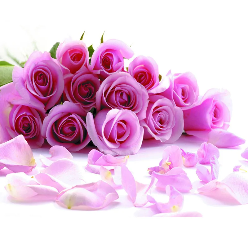 5D Diy full Square drill diamond painting Cross stitch Pink Rose &amp Petal embroidery Rhinestone Mosaic home decor gift | Дом и сад
