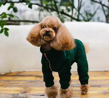 Green-Boy Зимняя одежда для собак, теплая куртка с капюшоном, Комбинезоны для маленьких и средних собак, утолщенная двухслойная флисовая куртка на молнии, пальто для чихуахуа, Мопса - Цвет: Green-Boy