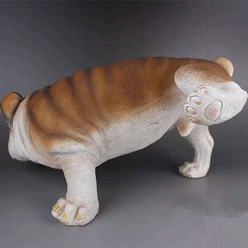 Новая творческая личность Очаровательная собака Английский бульдог забавная