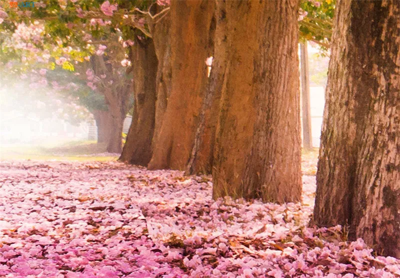 Cherry Blossom холст картины большие настенные художественные цветы плакаты и принты настенные картины для гостиной Свадебные украшения