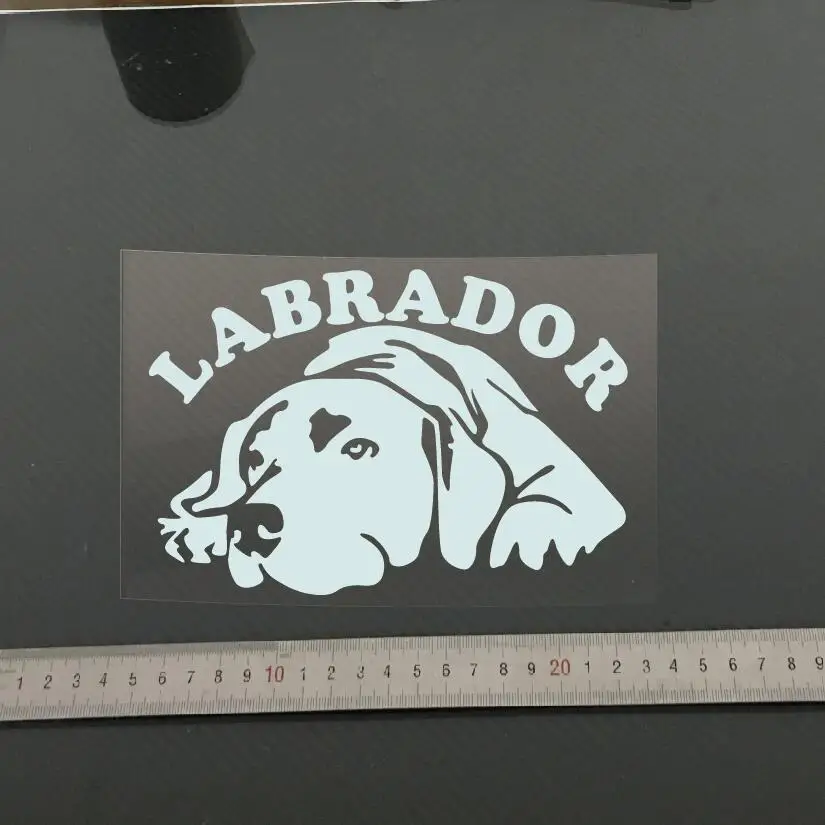 Высококачественные наклейки для автомобиля стикеры аксессуары бампера|stickers labrador|labrador stickercar sticker |