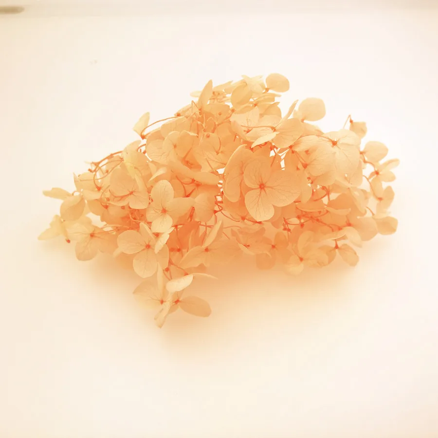 one box 20pieces petal Natural small leaf Hydrangea Dried flowers glass globe filler DIY jewelry making findings | Украшения и