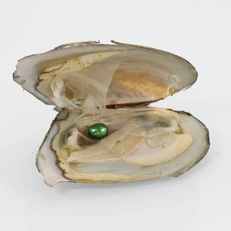20 шт. пресноводные устрицы вакуумная упаковка жемчужины Oyster Love Wish AAA 6 7 мм для