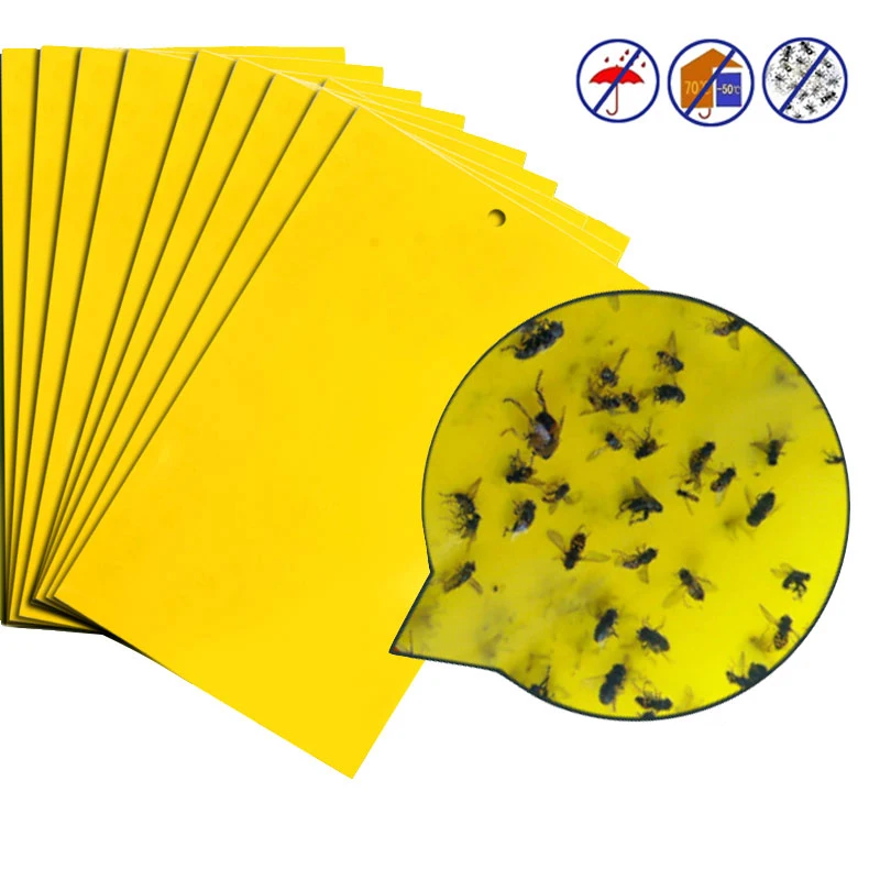 20x25 30 шт. сильные мухи ловушки ошибки Sticky доска ловить Aphid насекомых пестицид