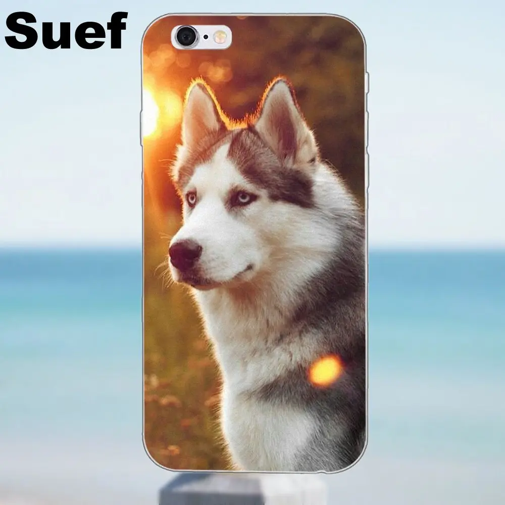 Для iPhone X 4 4S 5 5S 5C SE 6 6S 7 8 Plus Galaxy J1 J3 J5 J7 A3 A5 2016 2017 мягкий термополиуретановый узор для
