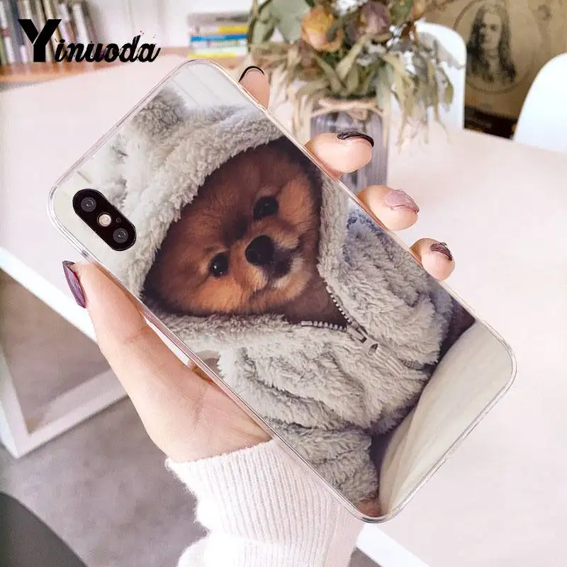 Yinuoda Pomeranian dogs Красочный милый чехол для телефона для iPhone 8 7 6 6S Plus X 10 5 5S SE XR XS XSMAX11 11pro 11promax