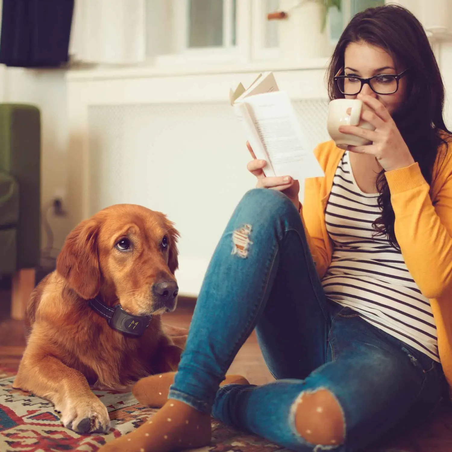 

Pet Products