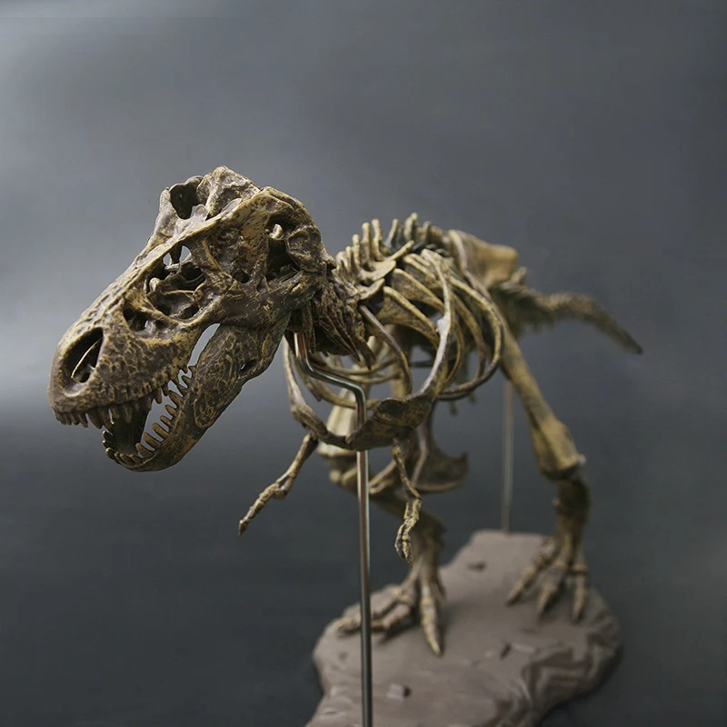 photo color Большой динозавр Fossil череп игрушки модельки животных тираннозавр рекс собрать скелет модель предметы интерьера украшения - Цвет: photo color