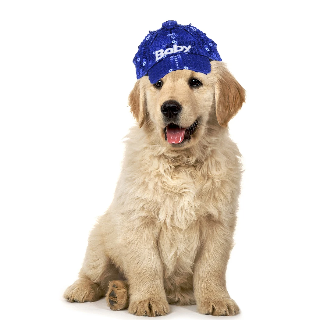 2019 Fashion dog Hat Summer for Small Dog Cat Baseball Cap Visor With Ear Holes Pet Products Outdoor Accessories Sun | Дом и сад