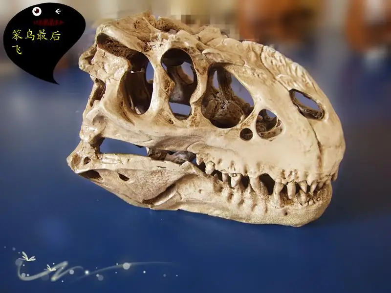 Смола динозавр Рекс Череп модель искусственная динозавра|dinosaur cookie cutter set|dinosaur