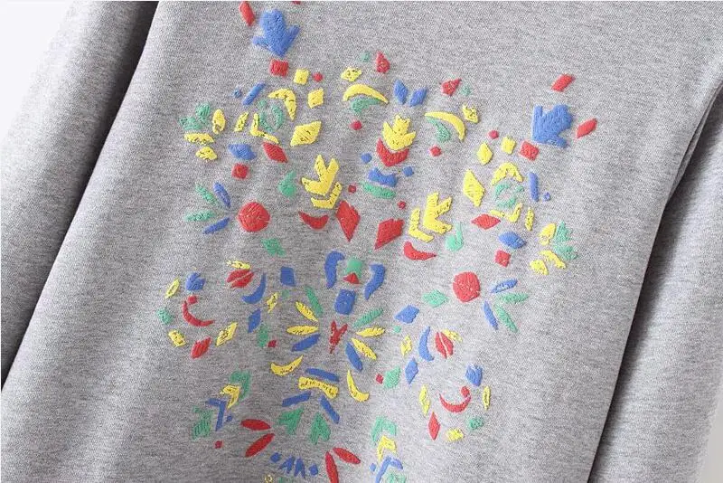 Красочные Вышивка Для женщин толстовка осень Толстовки повседневные с круглым