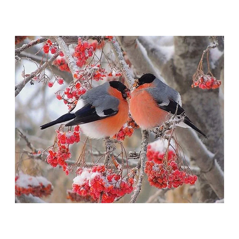 3D Алмазная вышивка крестиком на рисунке две птицы дереве с украшением в виде