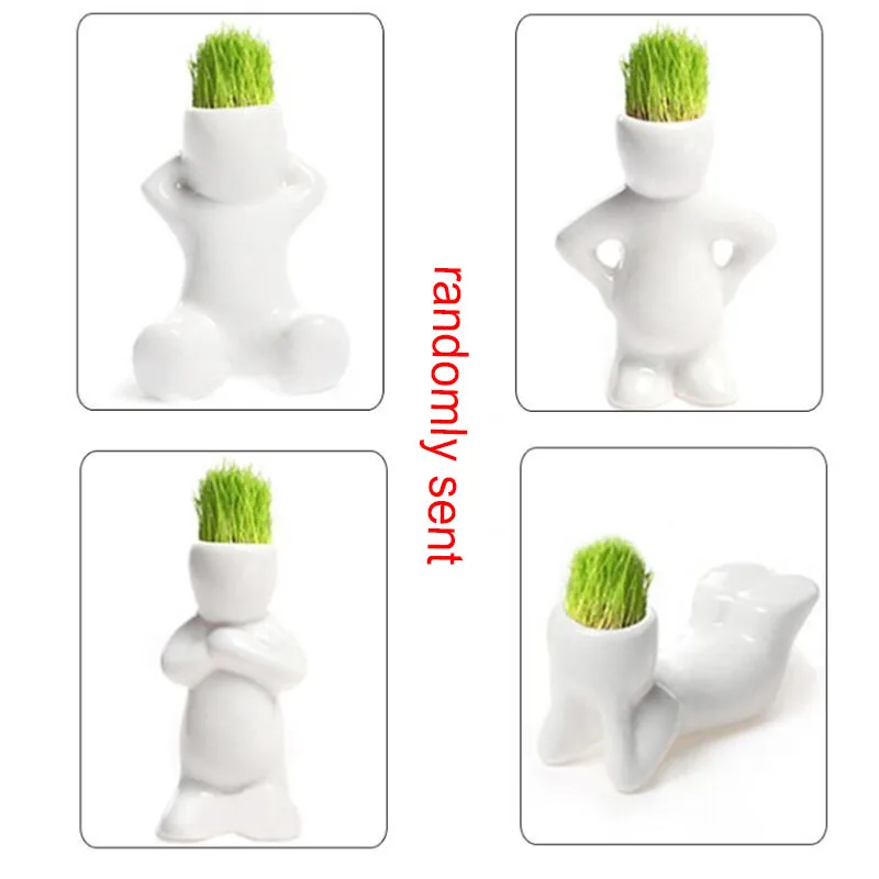 Cat Food Feeder Toy Rye Cat Grass Plant Herb Edible Lemongrass Kitchen Vegetable Bonsai Medicinal Use graines legumes pota