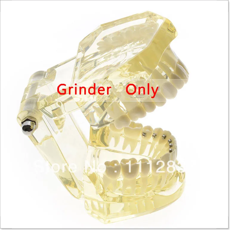 Dentist lab Dental Demonstration model for Orthodontic Yellow with inside metal bracke t oral hygiene Teeth whitening | Красота и