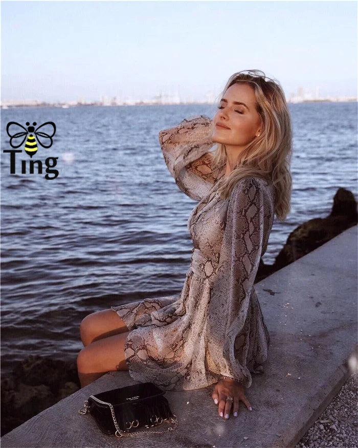 Tingfly взлетно посадочной полосы дизайнер змея и Леопардовый принт мини платье Sexy