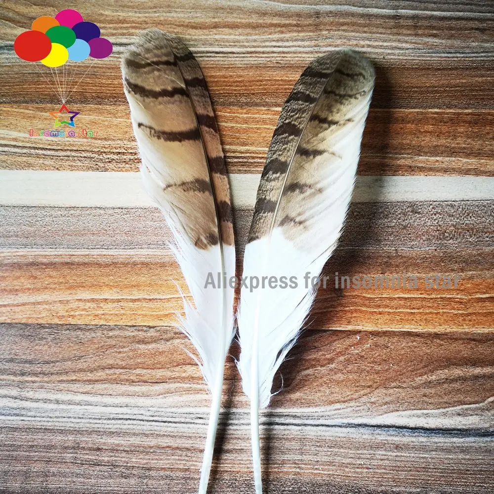 

Pretty rare white and gold Eagle Feather precious 10-12 inches/25-30 cm long wings natural feathers