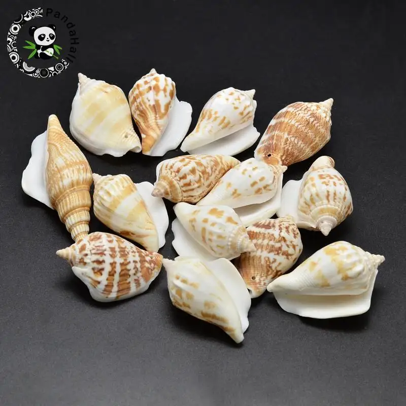 

Conch Shell Beads, Goldenrod, 40~65x20~25mm, Hole: 1~2mm; about 60pcs/500g