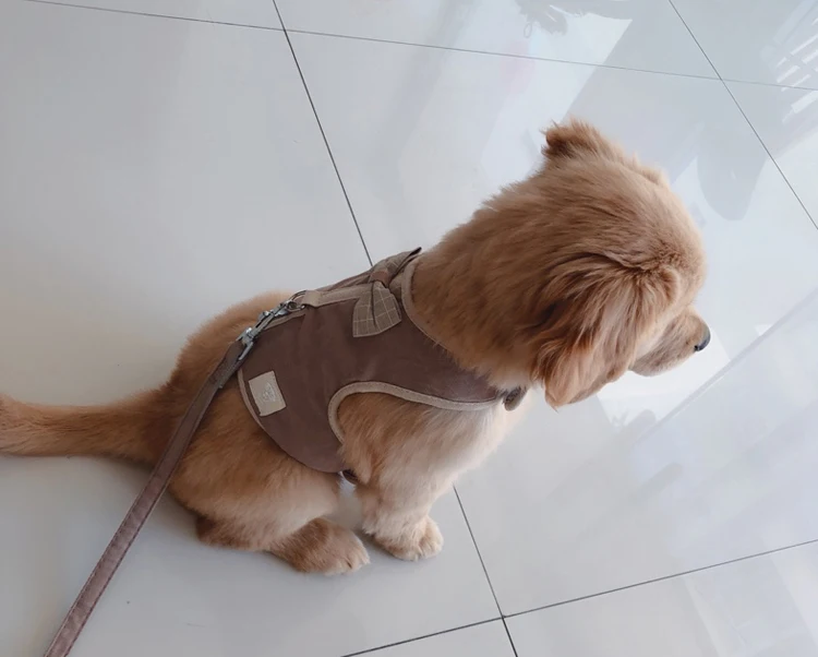 Жилет для собак Cats Harness Vest Bowknot Маленький / Средний Жгут Регулируемый щенок Кошка Стропы Поводки
