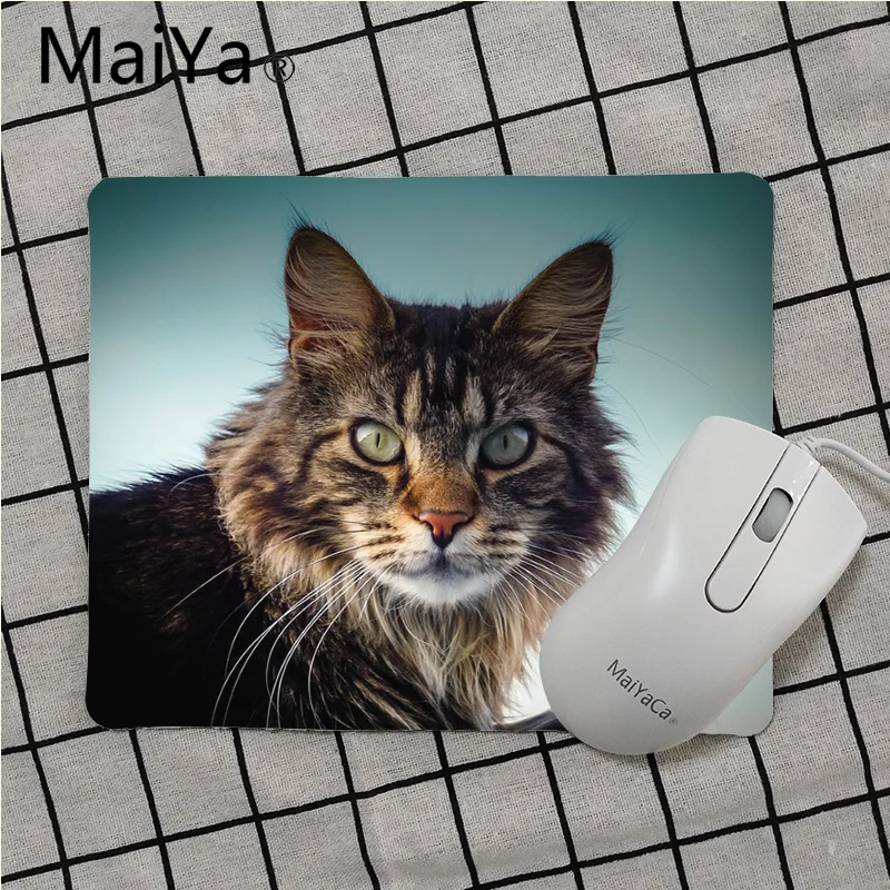 Maiya высокое качество Мэн енот кот под заказ игровой коврик для мыши ноутбука