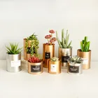 Металлический цветочный горшок, Железный контейнер для хранения суккулентов, металлические поделки, декоративный сад, искусственный цветочный горшок, розовый, золотой, серебряный, черный, 27