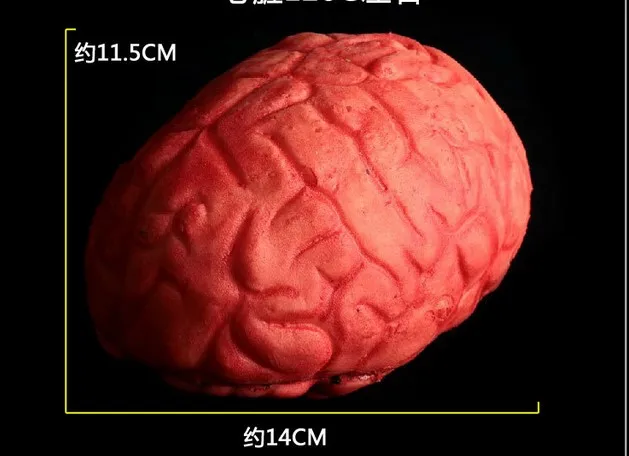 Новинка страшный дом на Хэллоуин Кровавая рука мозг 2016 5ZHH029 | Дом и сад