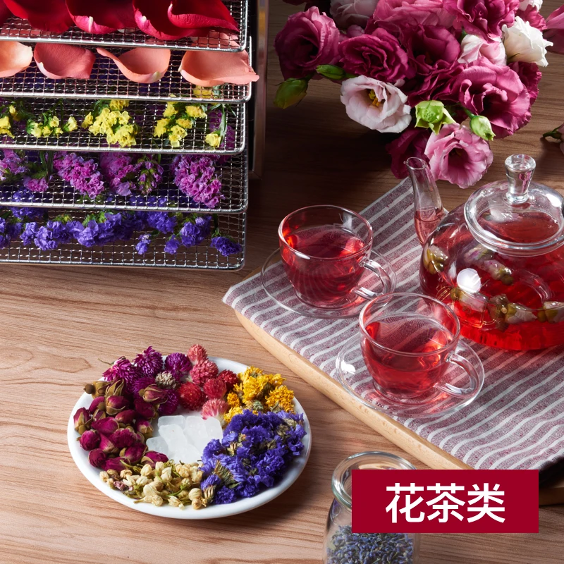 XINCHI ST 01 сушилка из нержавеющей стали для фруктов пищевых продуктов|Дегидраторы| |