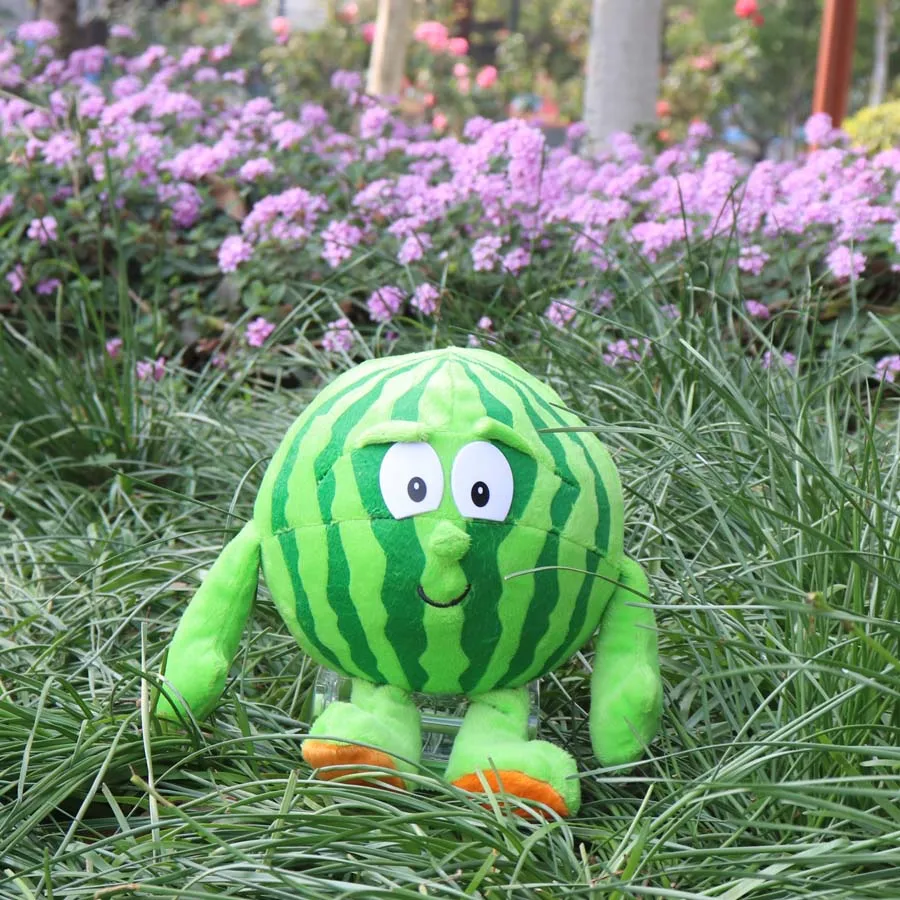 2018 несколько стилей новые фрукты овощи цветная капуста гриб черника Starwberry 9