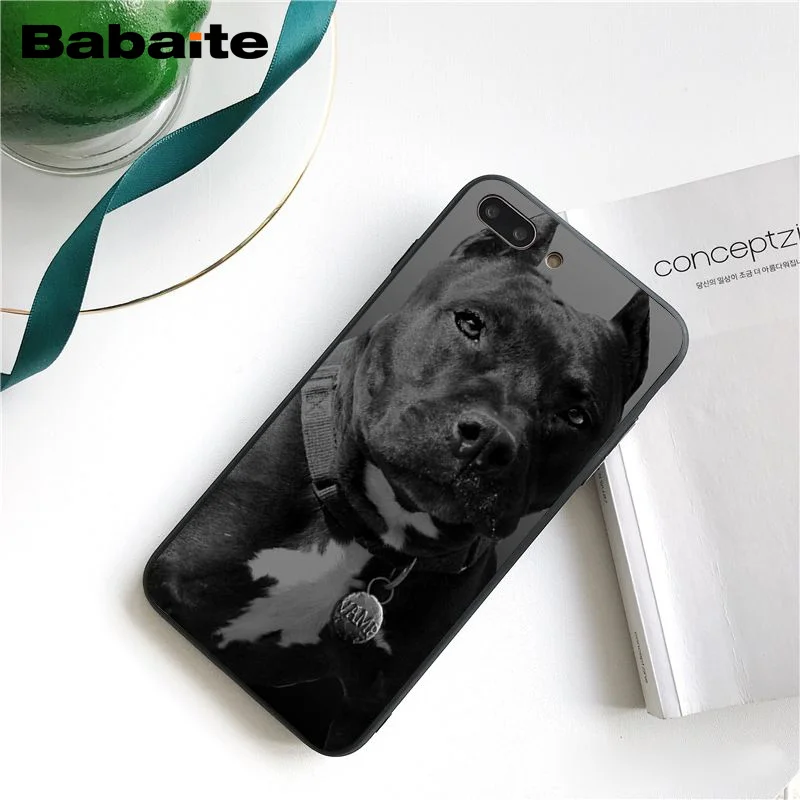 A9 Babaite питбуль прекрасный питбуль чехол для телефона чехол для iphone 11 Pro 11Pro Max X XS MAX 6 6s 7 7plus 8 8Plus 5S SE XR - Цвет: A9