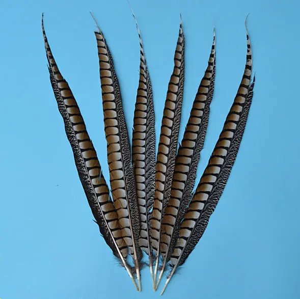 10 шт. высококачественные оригинальные натуральные женские перышки Amher pheasant 4-44