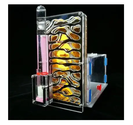 Ant Nest Pet Home Workshop акриловый City B1 студенческий образовательный DIY игрушки научный