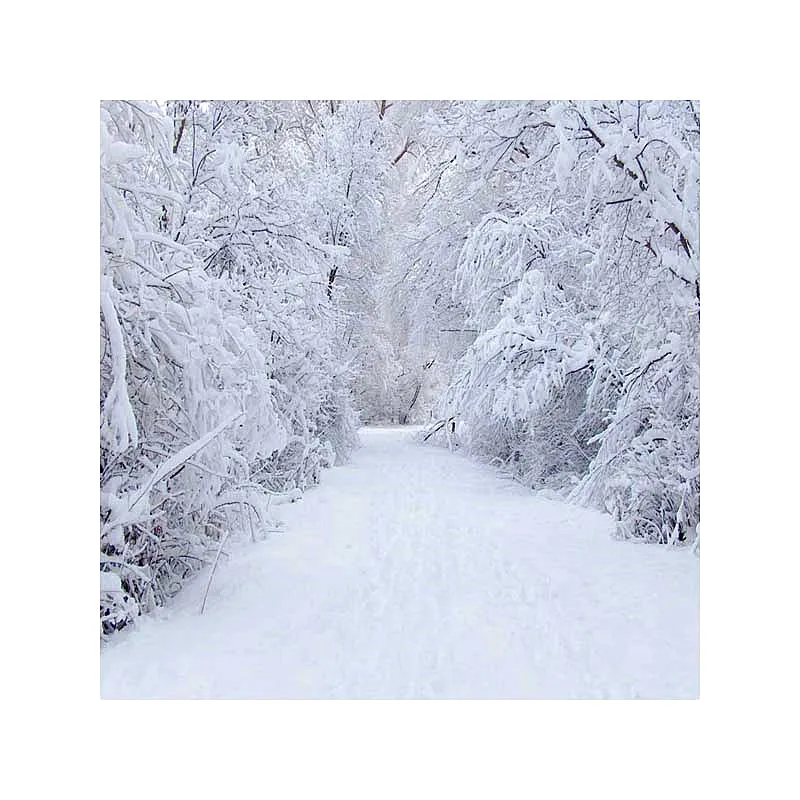 5x7 Рождественский фон для фотосъемки новорожденный белый снег Ледяной Синий