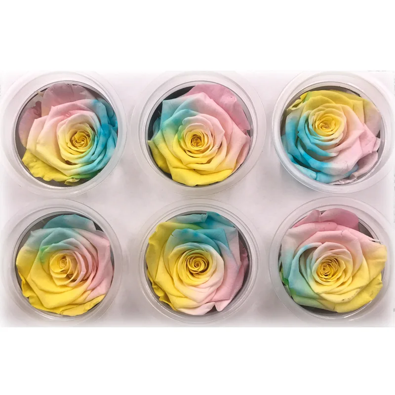 1 коробка, высокое качество, Красочные розы, цветок, Rose5-6CM, диаметр, цветок вечной жизни, материал, подарочная коробка - Цвет: 09