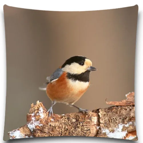 Милая птица на бревне 2D принт креативный наволочка квадратный хлопок полиэстер 5