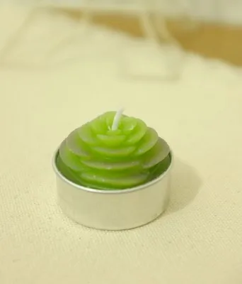 100 шт. декоративные свечи в виде кактуса|decorative decorative|decor cactusdecorations showers |