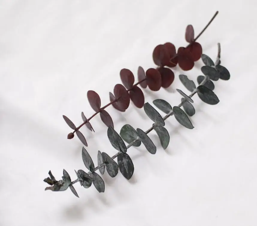 Ветки из листового эвкалипта в длину 20 30 см 10 шт.|eucalyptus leaves|flower arrangementflower arrangements diy |