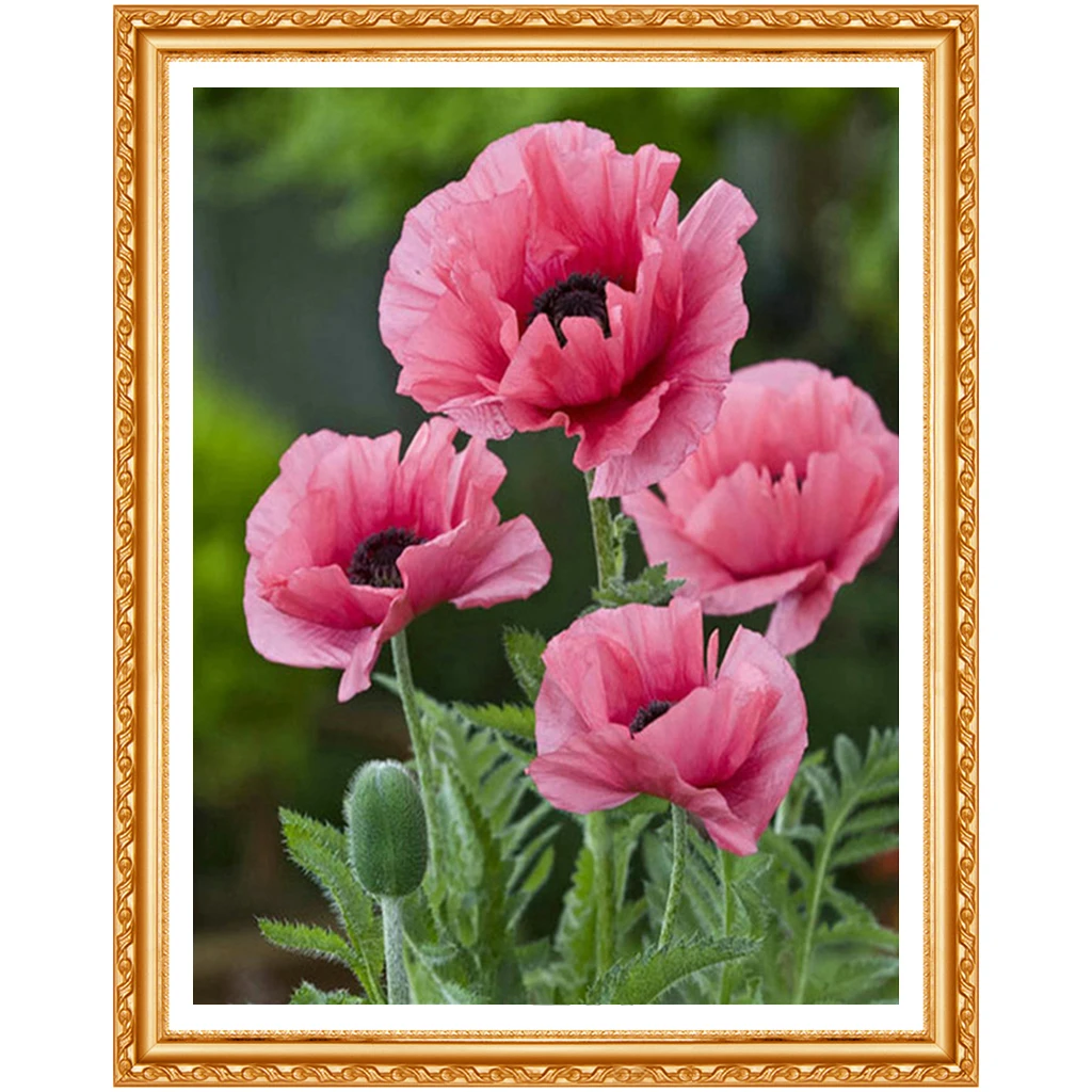 Diamond Embroidery Flowers Full Square Painting Floral Picture Cross Stitch Home Decoration | Дом и сад