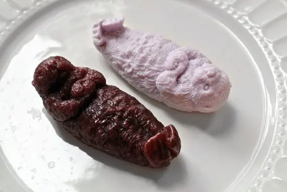 

Mold Silicone Shape Animals Handmade DIY Soap Mould Good Molds Otter Soap Cute Silicone Rubber PRZY Eco-friendly 001