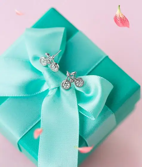 1 пара. Женские серьги гвоздики из серебра 925 пробы с фианитом|gifts glassware|gift bikegift bell |