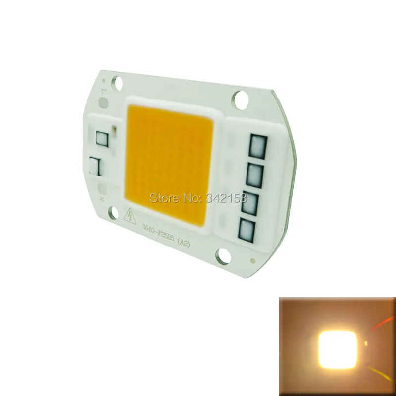 6040 50W AC220V/AC110V COB светодиодные чипы белый 6000 6500K теплый 3000 3200K полный спектр розовый