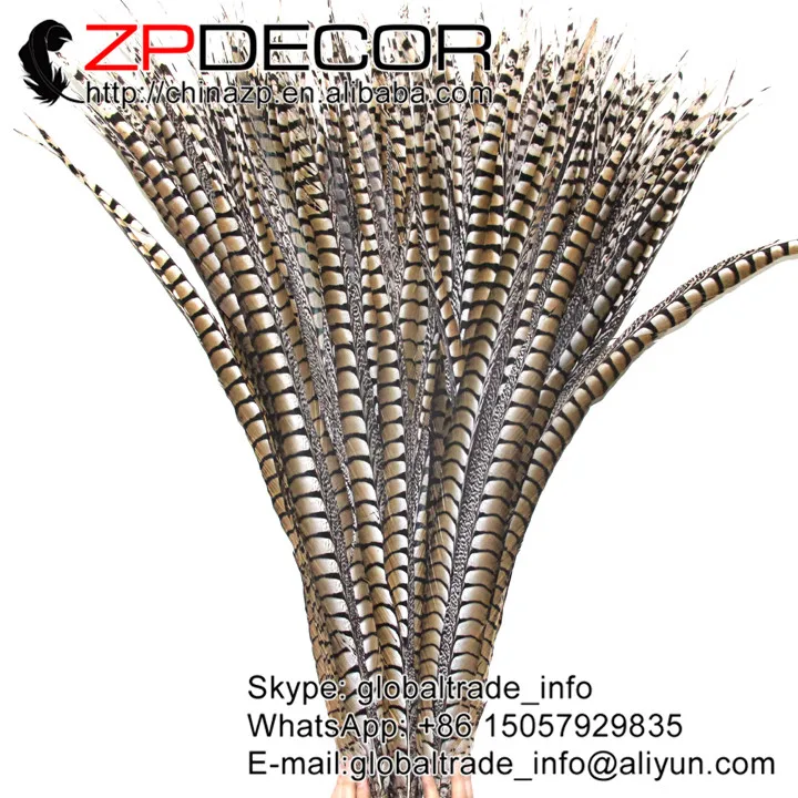 ZPDECOR 40 44 дюйма (100 110 см) 50 шт./лот супер длинные натуральные женские перья из хвоста