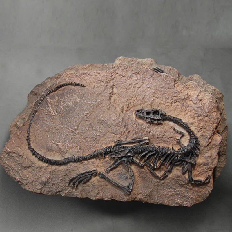Смола моделирование динозавра бронтозавр fossil творческий ручной работы Домашний Декор Парк Юрского периода частный художественный
