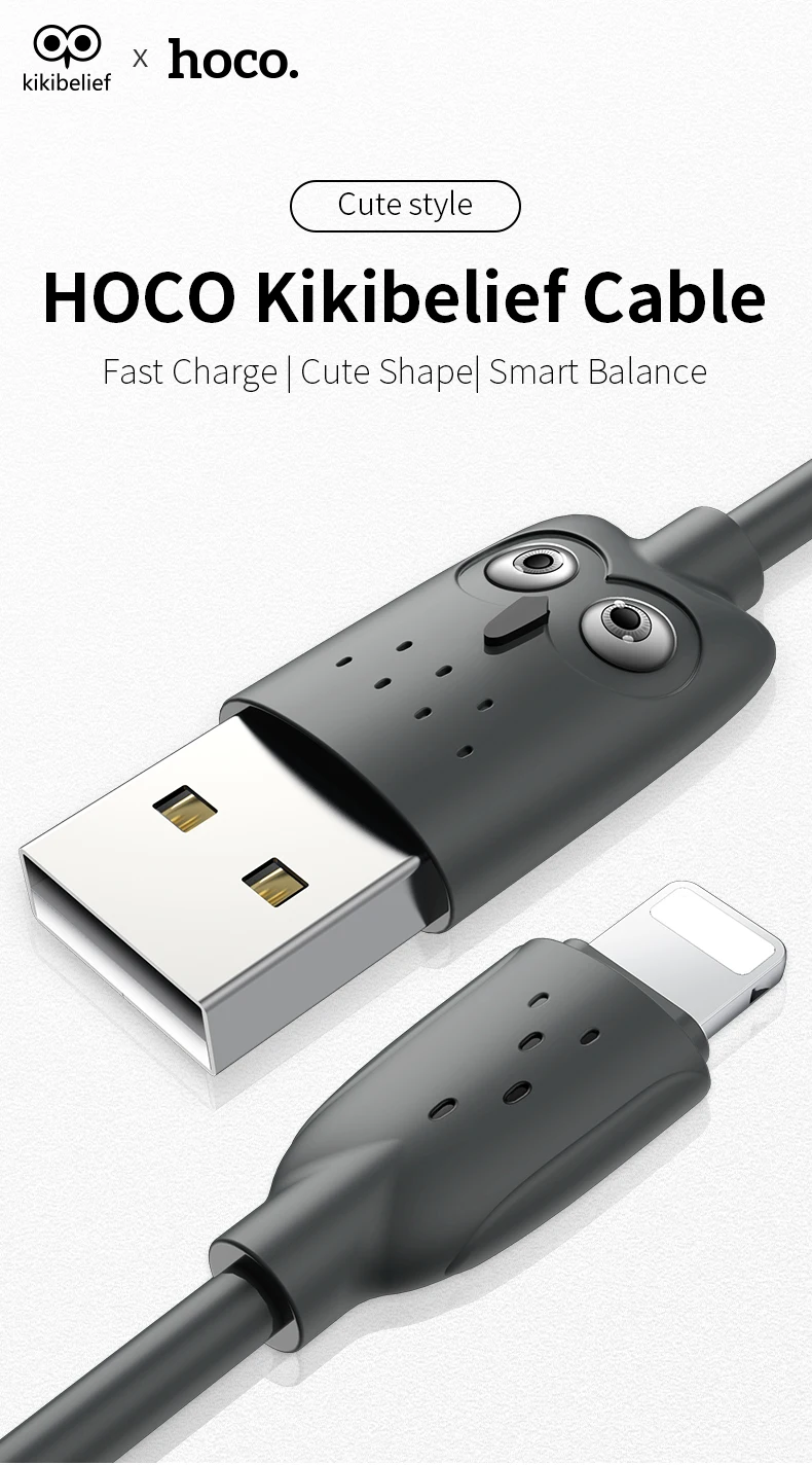 HOCO USB кабель для iPhone, зарядный кабель, двойное USB зарядное устройство для iPhone 5S 6 7 8 XS XR 2.4A зарядное устройство