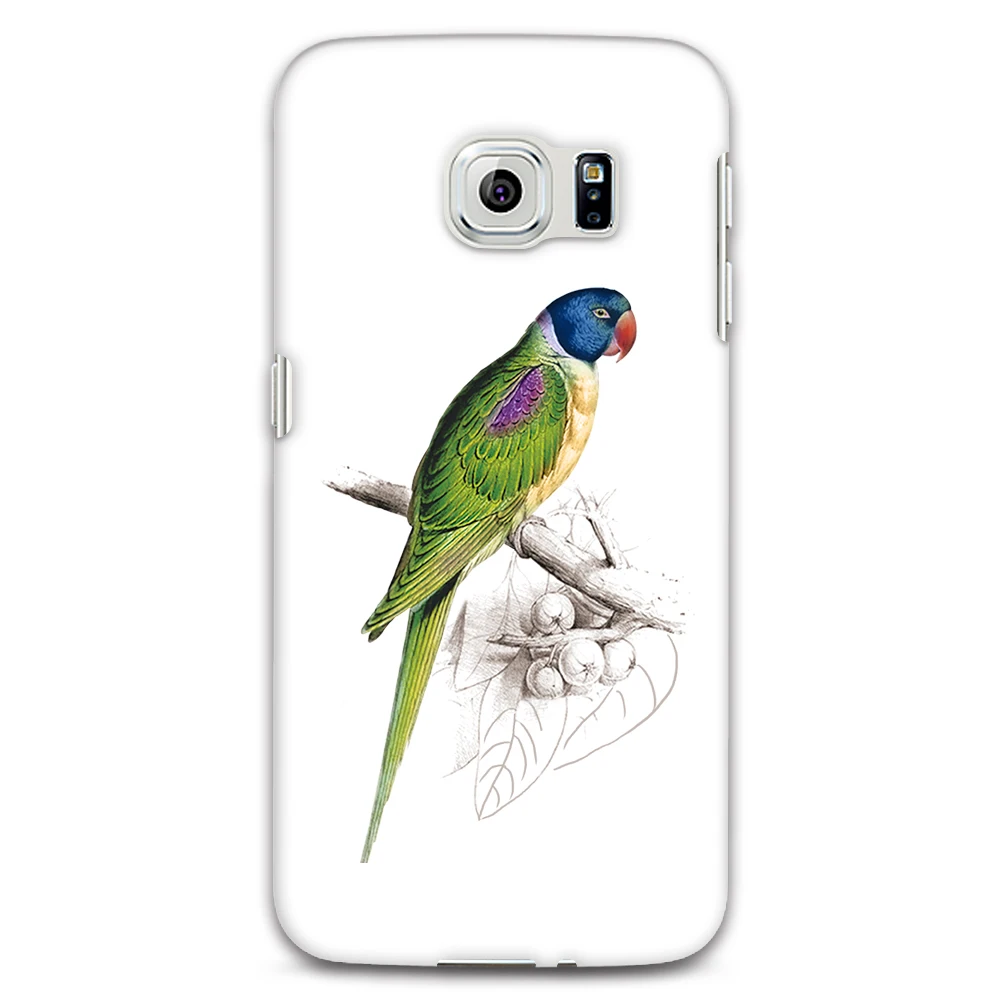 Милый Попугай телефон защитный чехол Крышка для iPhone 6 7 Samsung Galaxy S6 S7|cover for iphone|case